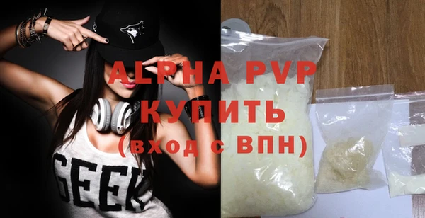 гидра Бородино