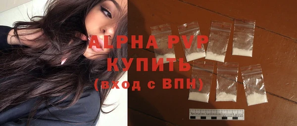 гидра Бородино
