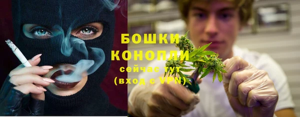 гидра Бородино