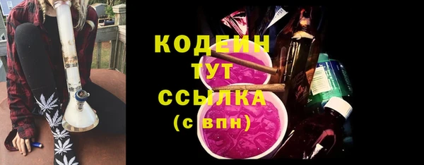 гидра Бородино