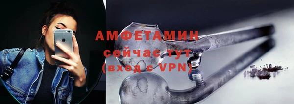 гидра Бородино