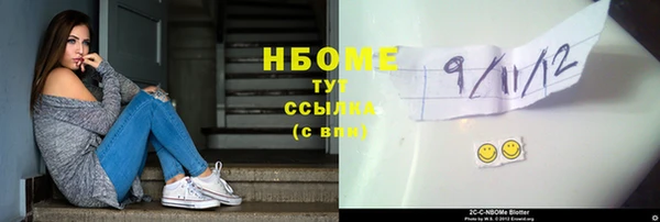 гидра Бородино