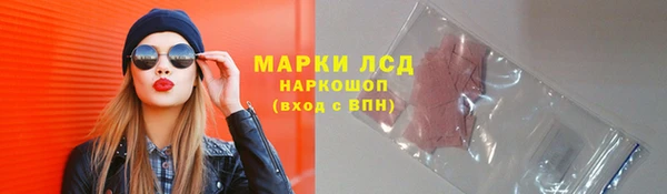 гидра Бородино