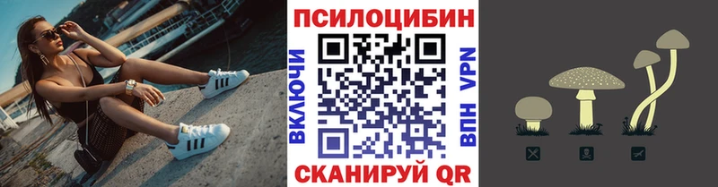 Псилоцибиновые грибы Psilocybe  это клад  Навашино 